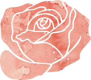 A stylized rose on transparent background. Used as the main logo of Beer & Roses.